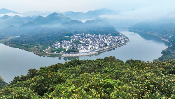 1747908535642029339.png 5小.png