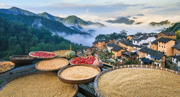 640 (81) - 副本.jpg