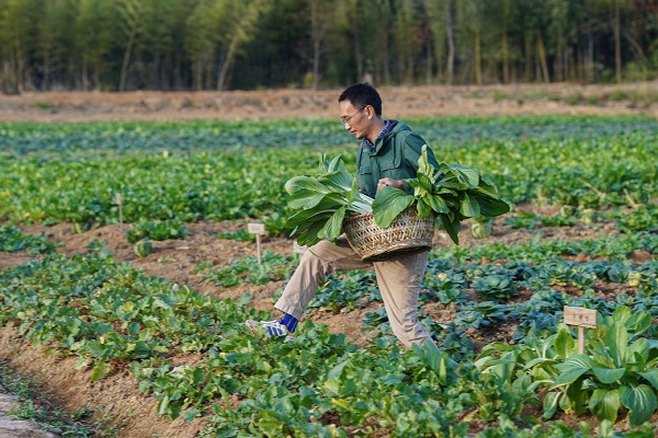 New farmer boosts rural development with 'mystery veg box'
