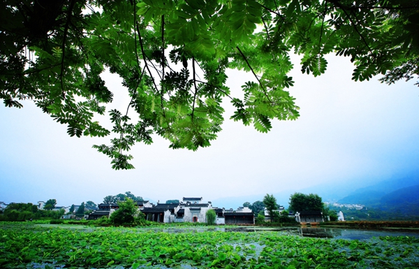 Explore special villages of Huangshan's Huizhou district