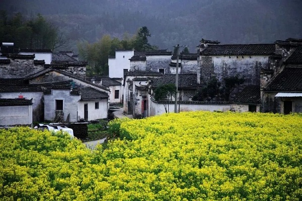 Amazing Xidi village in Huangshan