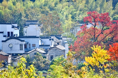 Magnificent autumn landscape attracts tourists in Tachuan village