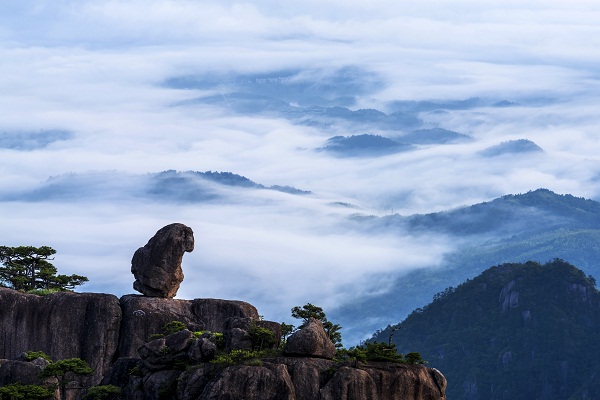 The Stone Monkey Gazing over the Sea of Clouds