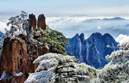 Huangshan Mountain offers up winter rime spectacle