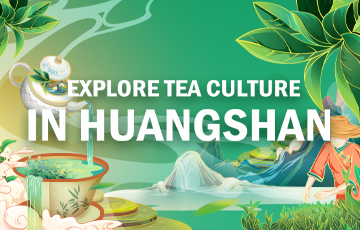 Explore tea culture in Huangshan