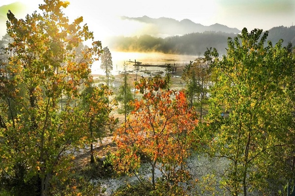 Fall splendor resonates with visitors to Anhui's Qishu Lake