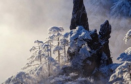 Discover winter magic of Huangshan Scenic Area