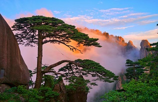 Huangshan Scenic Area uses smart tech to boost sustainable tourism