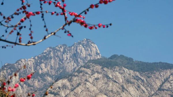A floral paradise beckons spring in Huangshan city