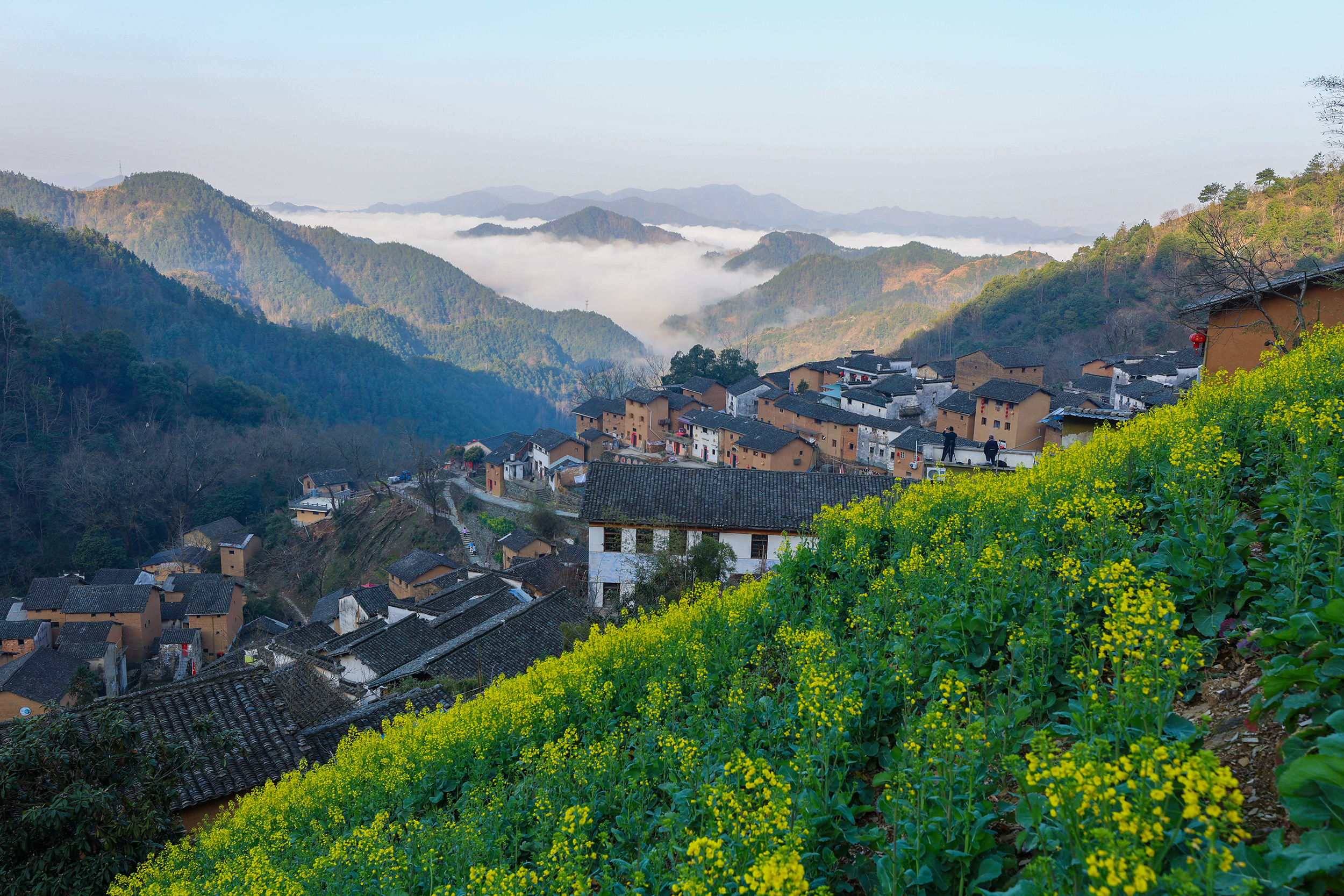 Huangshan tea party debuts in London