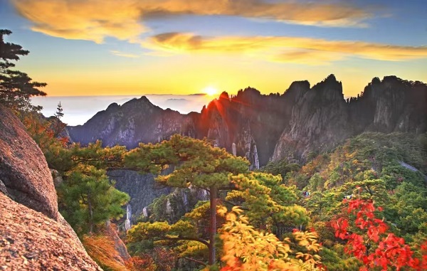 Huangshan invites global friends to admire autumn 