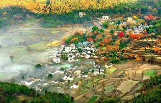 Embrace autumn's splendor: A date with Huangshan