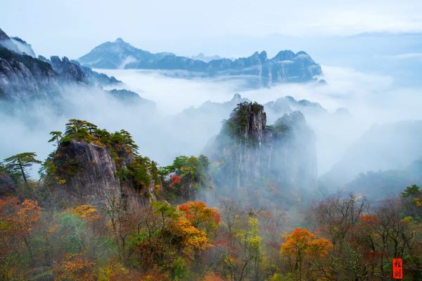 Experience Huangshan's autumn wonders on 6 routes 