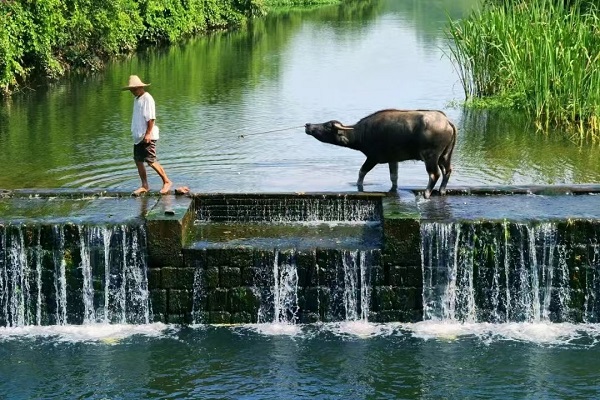 Unveiling ceremony held for Huizhou Weirs - World Heritage Irrigation Structures