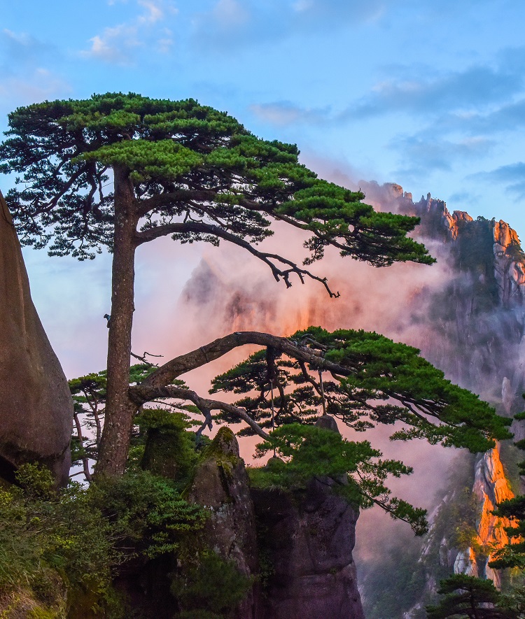 Huangshan emerges as top destination for overseas tourists exploring China