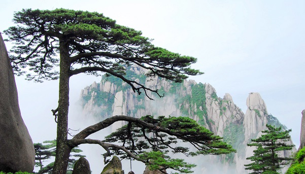 China's visa-free transit policy fully relaxed and optimized