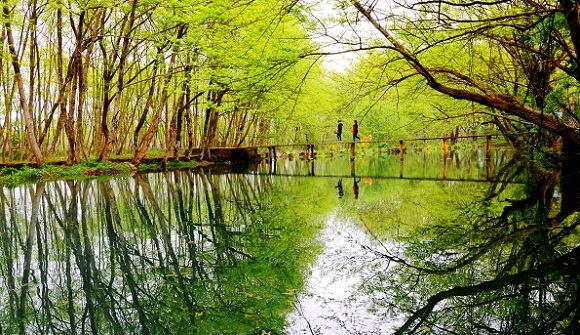 Discover Huizhou: Springtime journey through ancient villages & tea terraces