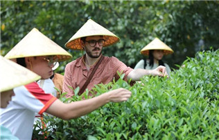 Huangshan builds world-class destination for study tours