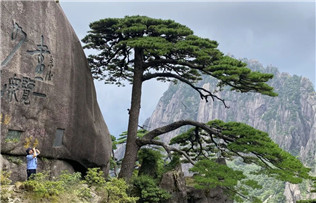 Huangshan's eco-protection model earns global recognition