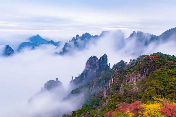 Magnificent sea of clouds adorns Huangshan Mountain