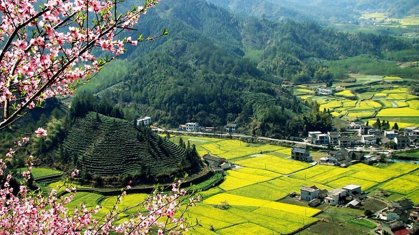 Popular places to view spring flowers in Yixian county