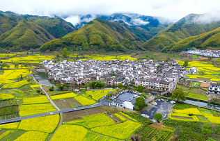 Flower viewing cycling route in Huangshan's spring