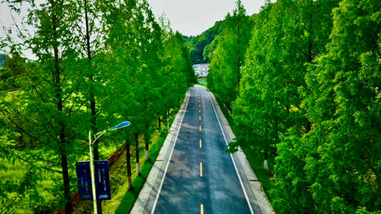 3 Huangshan transport-tourism projects win national awards