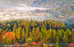 3-day wellness journey in Yixian offers autumn serenity