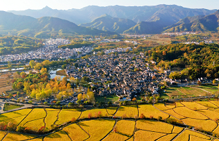 Enjoy autumn colors in villages across Yixian