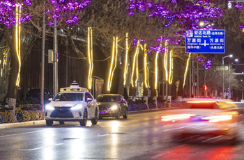 Take self-driving cars using digital RMB