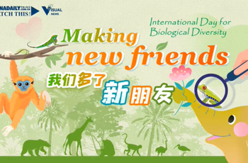 International Day for Biological Diversity: Making new friends