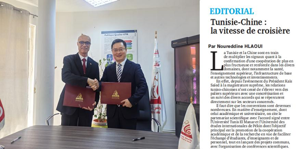 1764729840802058988.png 1203bisu2.png