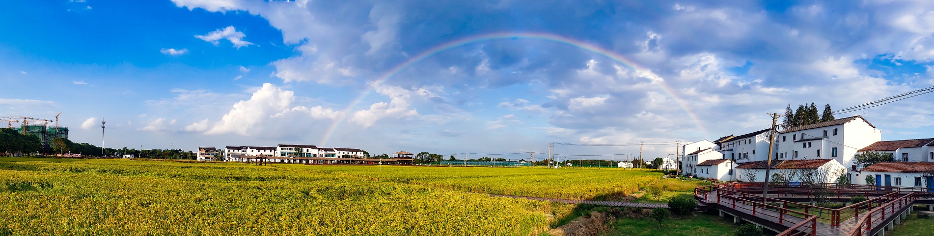 2021年11月，美丽乡村徐塘桥.jpg