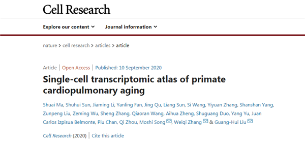 Chinese researchers reveal vital insights into age-linked susceptibility to SARS-CoV-2