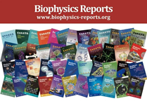 Biophysics Reports establishes inaugural youth editorial board 