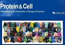 Protein & Cell’s impact factor yields significant breakthrough