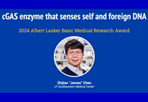 Zhijian James Chen honored with 2024 Lasker Award 