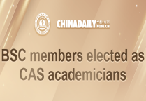 BSC members elected as CAS academicians