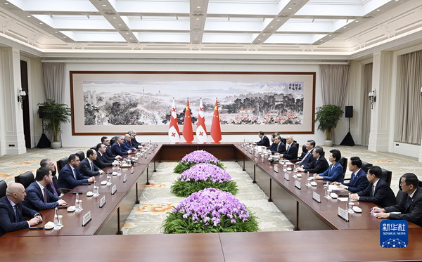 0728-Xi Jinping Meets with Georgian Prime Minister Irakli Garibashvili 2.jpg