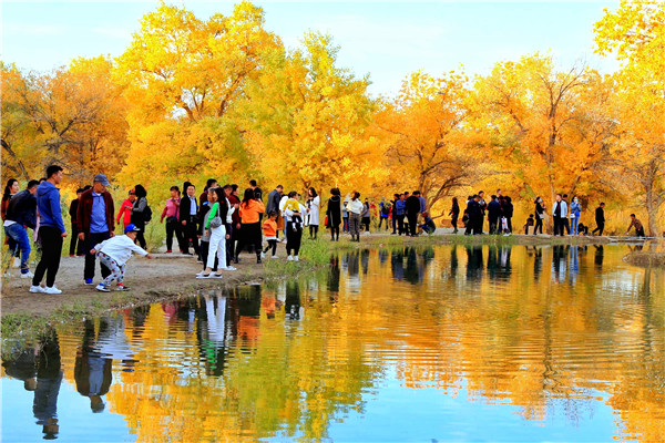 1608020356882084176.jpg 好风景 摄影崔买牛2.jpg