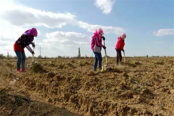 1609827402209053666.png 18153266874433399132.png