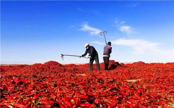 1609829368933018270.jpg 5091669333659260510.jpg