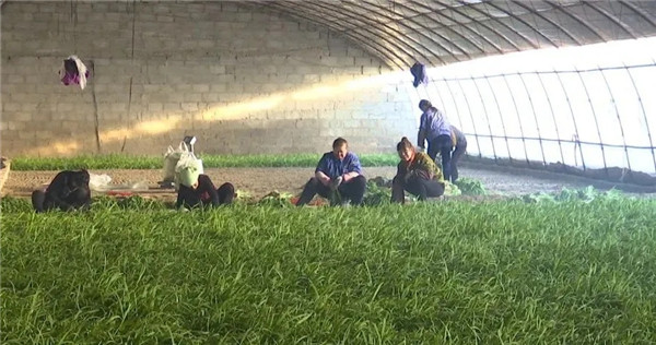 1611022760740026926.jpg 14349871437642399874.jpg