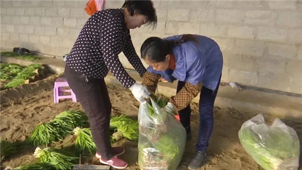 1611022774176081682.jpg 1416081980771563682.jpg