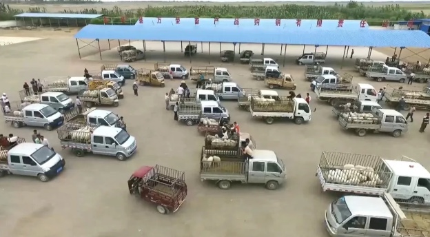 1611637391461048671.jpg 1.jpg