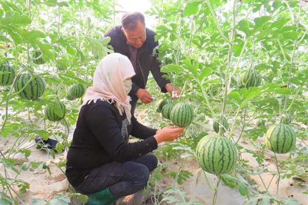 1611637405245021037.jpg 2.jpg