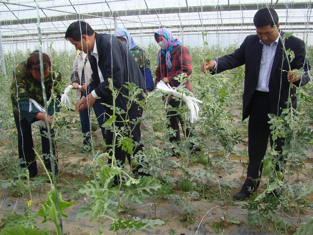 1611637416657006823.jpg 1611637416657006823.jpg