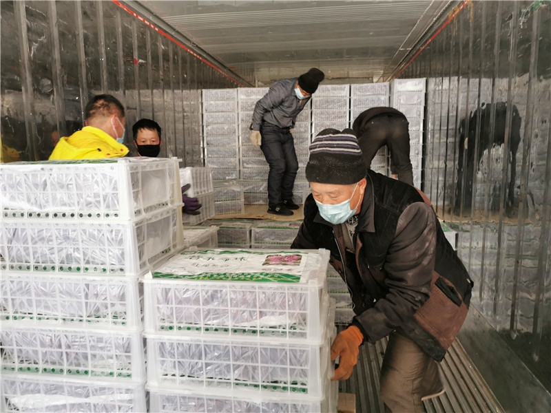 1613981042970093031.jpg 11374601173376088414_副本.jpg