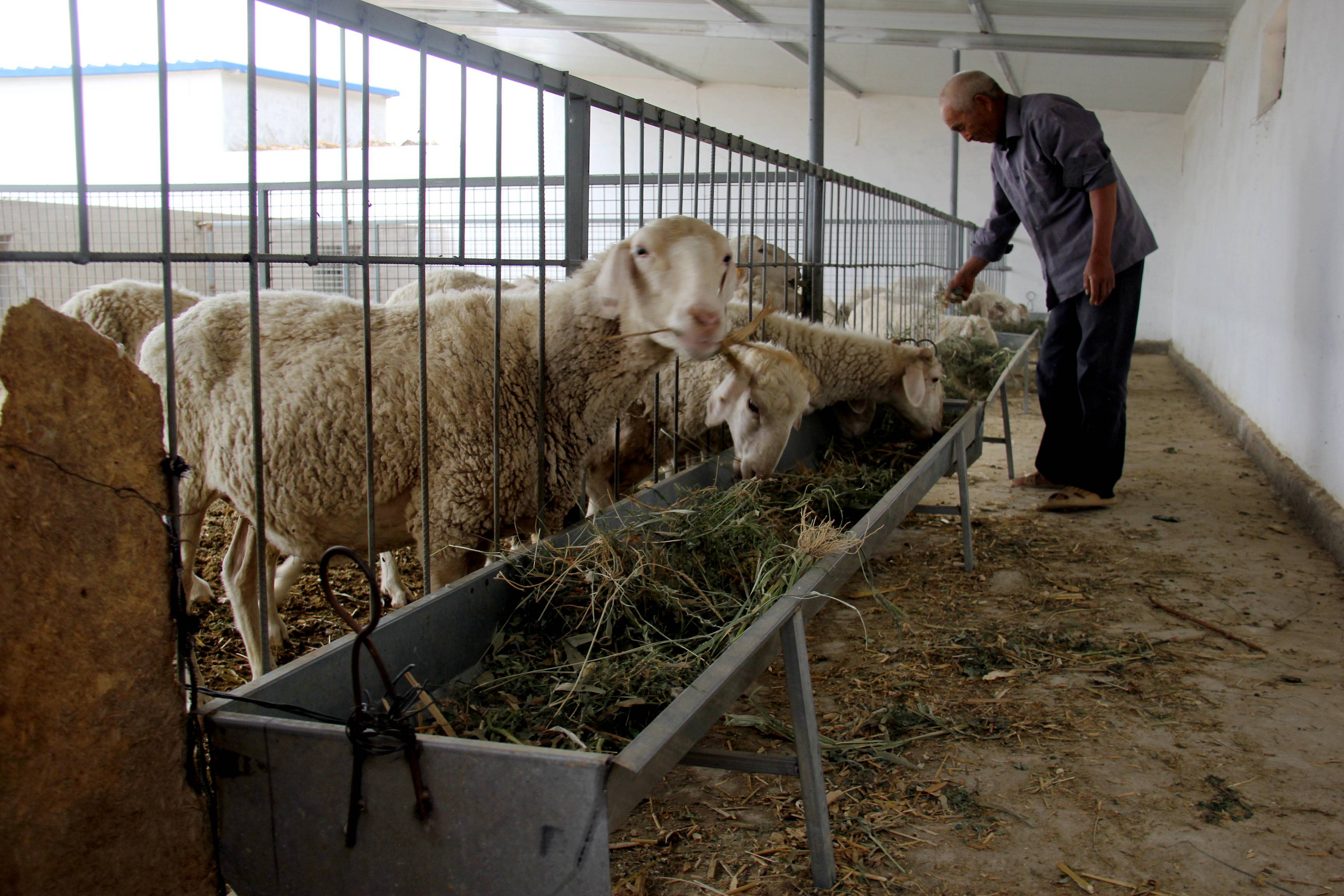 1614071491926055713.jpg 1614071491926055713.jpg