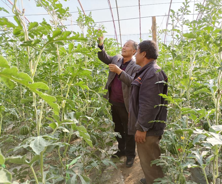 1614566652610062150.jpg 1614566652610062150.jpg